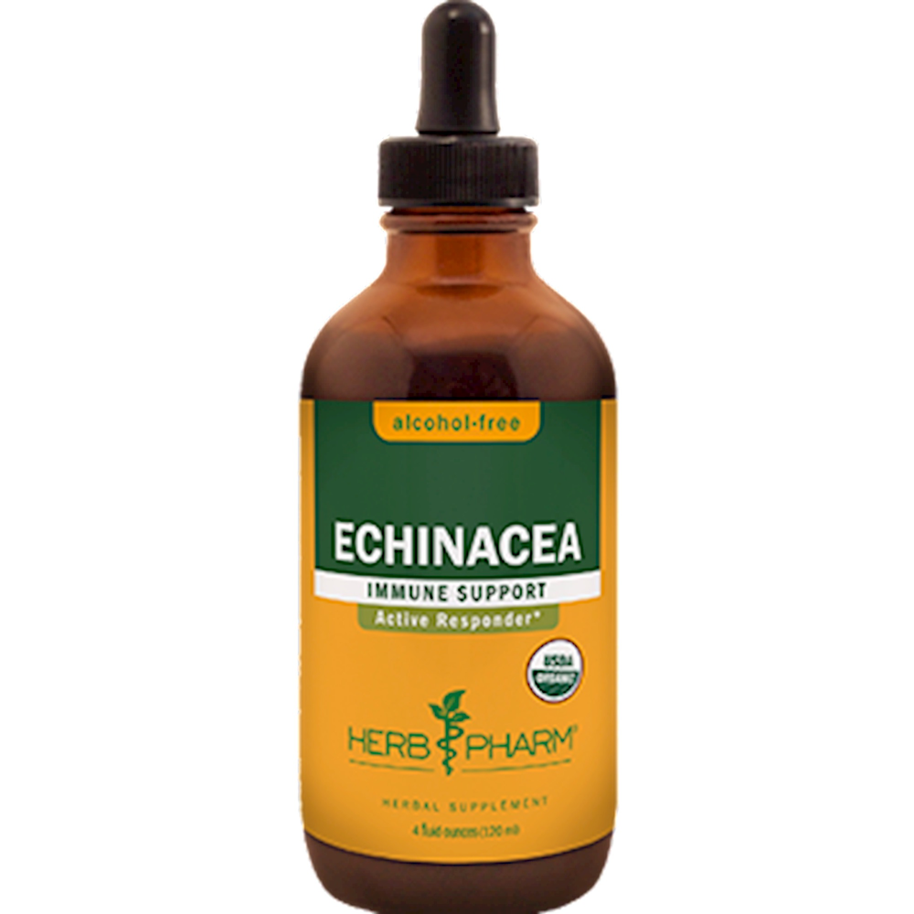 Echinacea Glycerite