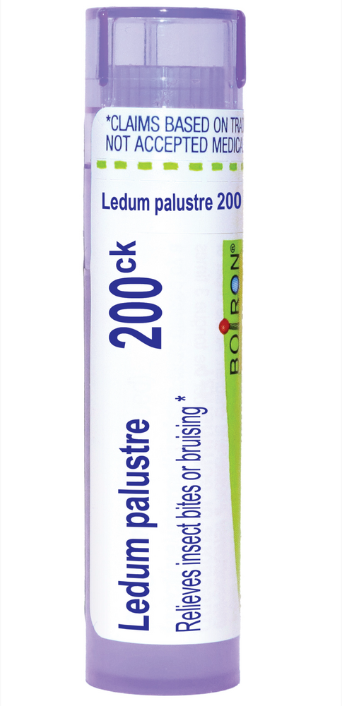 Ledum Palustre 200ck