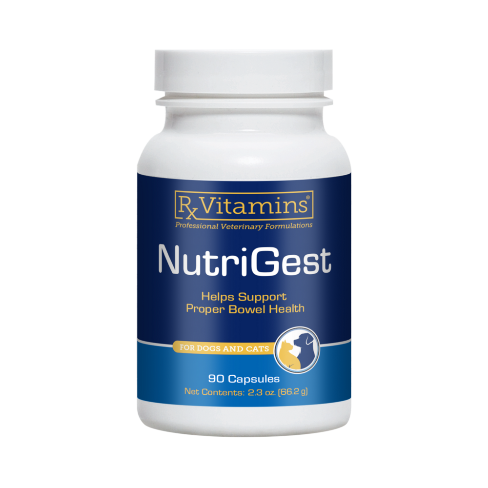 NutriGest for Dogs & Cats Capsules