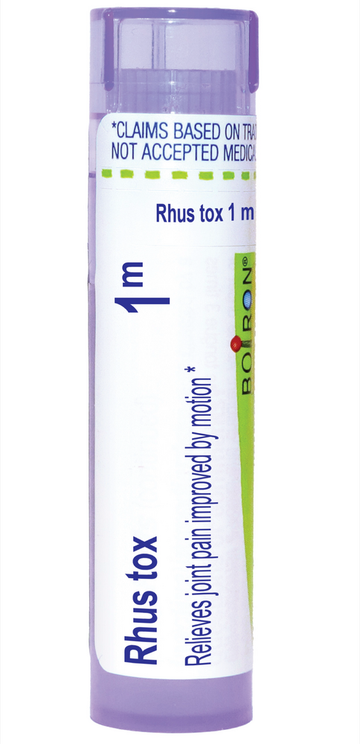 Rhus Toxicodendron 1m