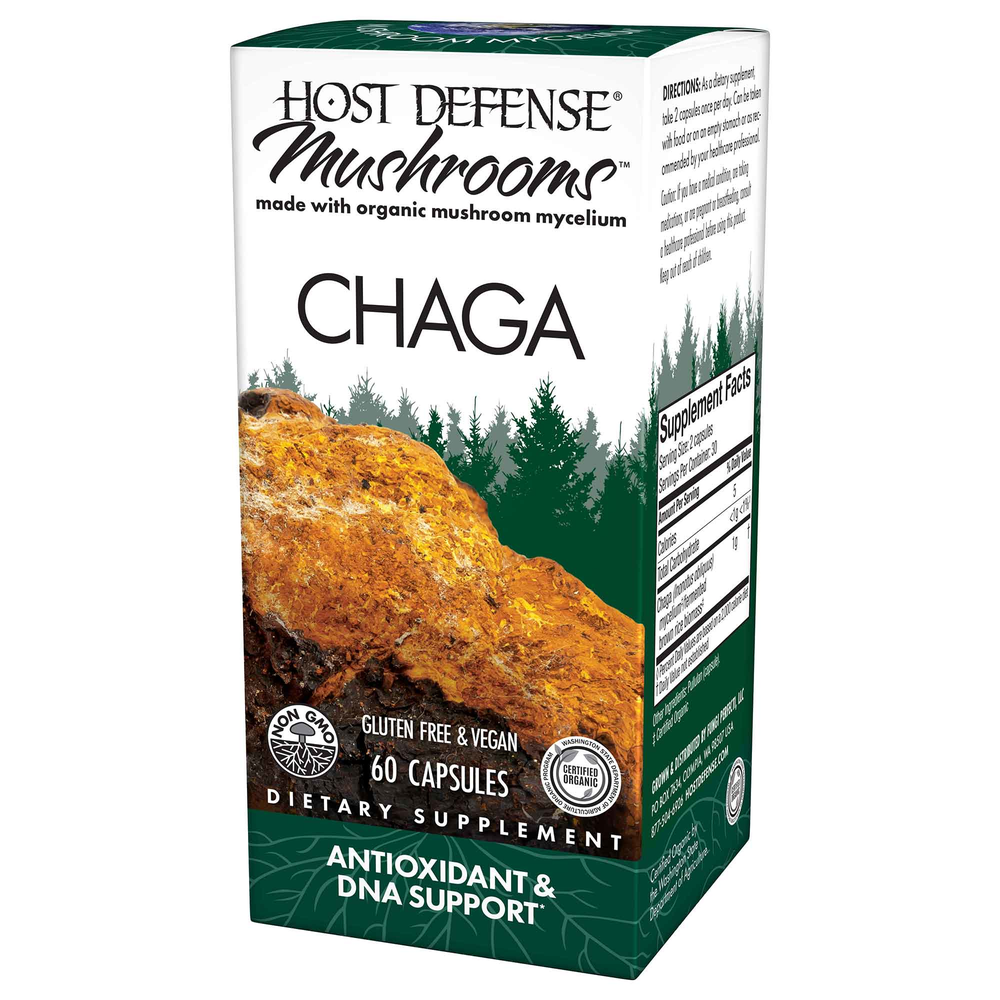 Chaga (Inonotus obliquus)