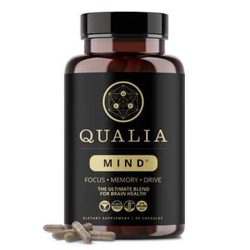 Qualia Mind 2.0