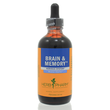Brain and Memory