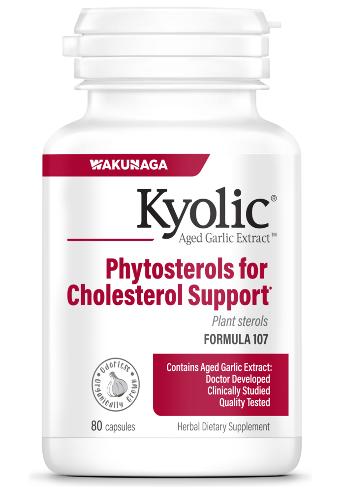 Kyolic Aged Garlic Extract Formula 107 - Cholesterol Support