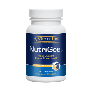 NutriGest for Dogs & Cats Capsules
