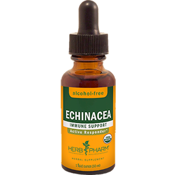 Echinacea Glycerite