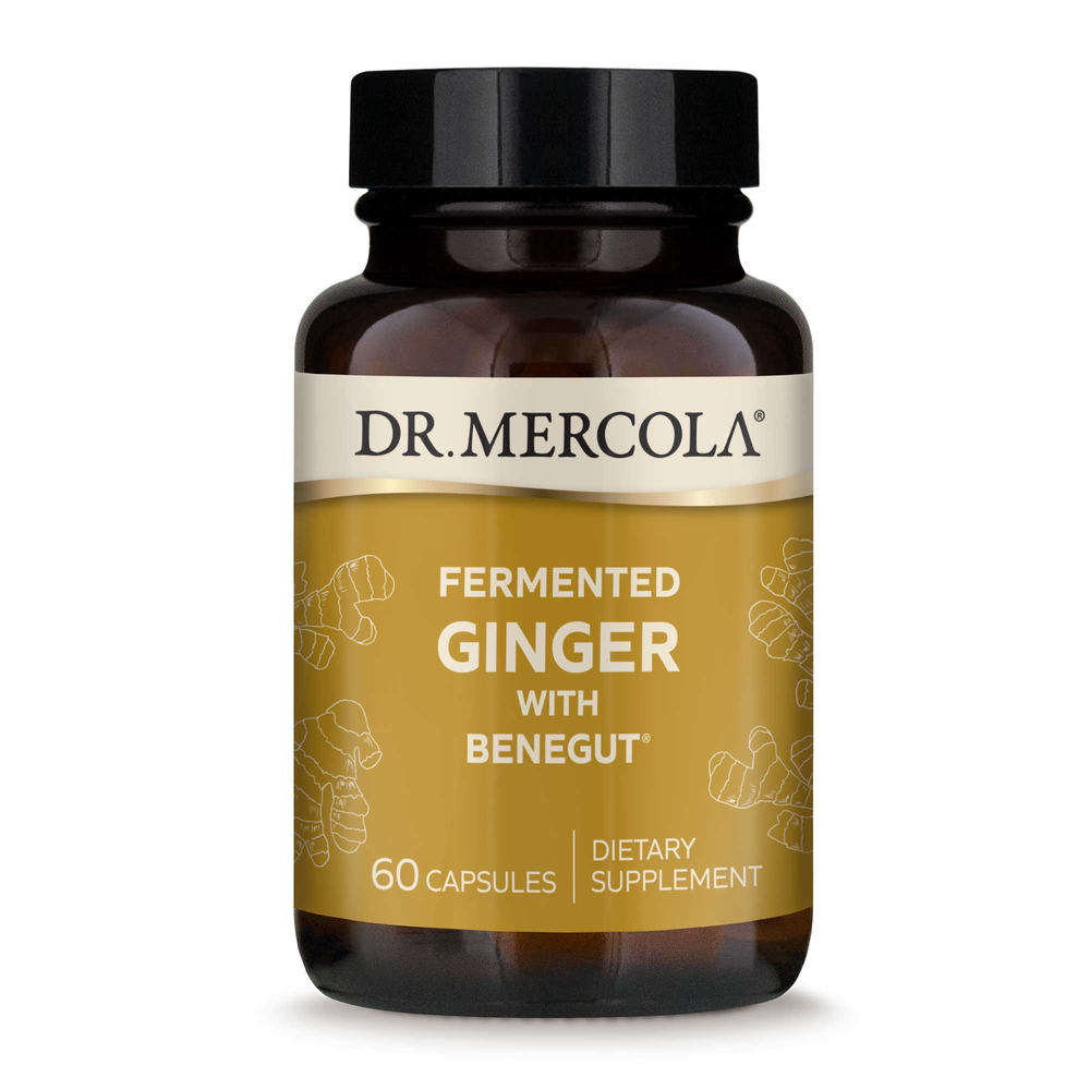 Fermented Ginger