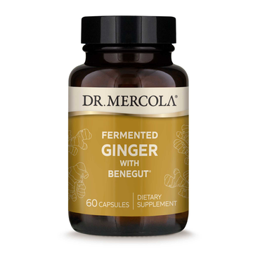 Fermented Ginger