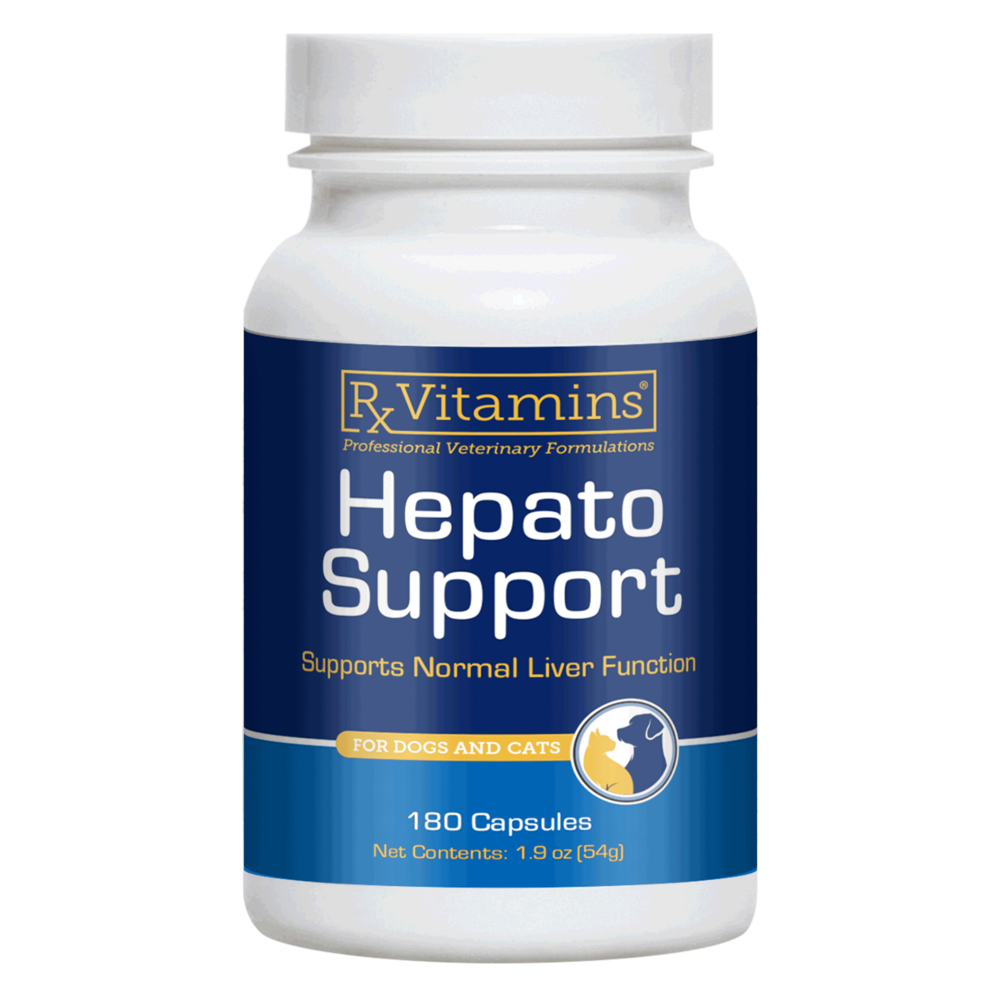 Hepato Support