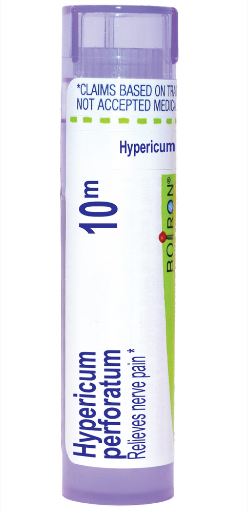 Hypericum Perforatum 10m