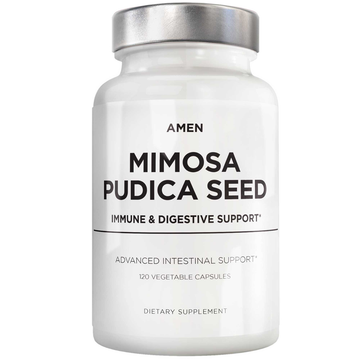 Organic Mimosa Pudica Seed