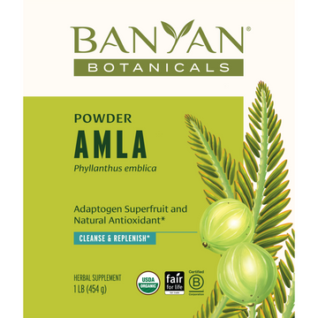 Amalaki Fruit Powder, Organic