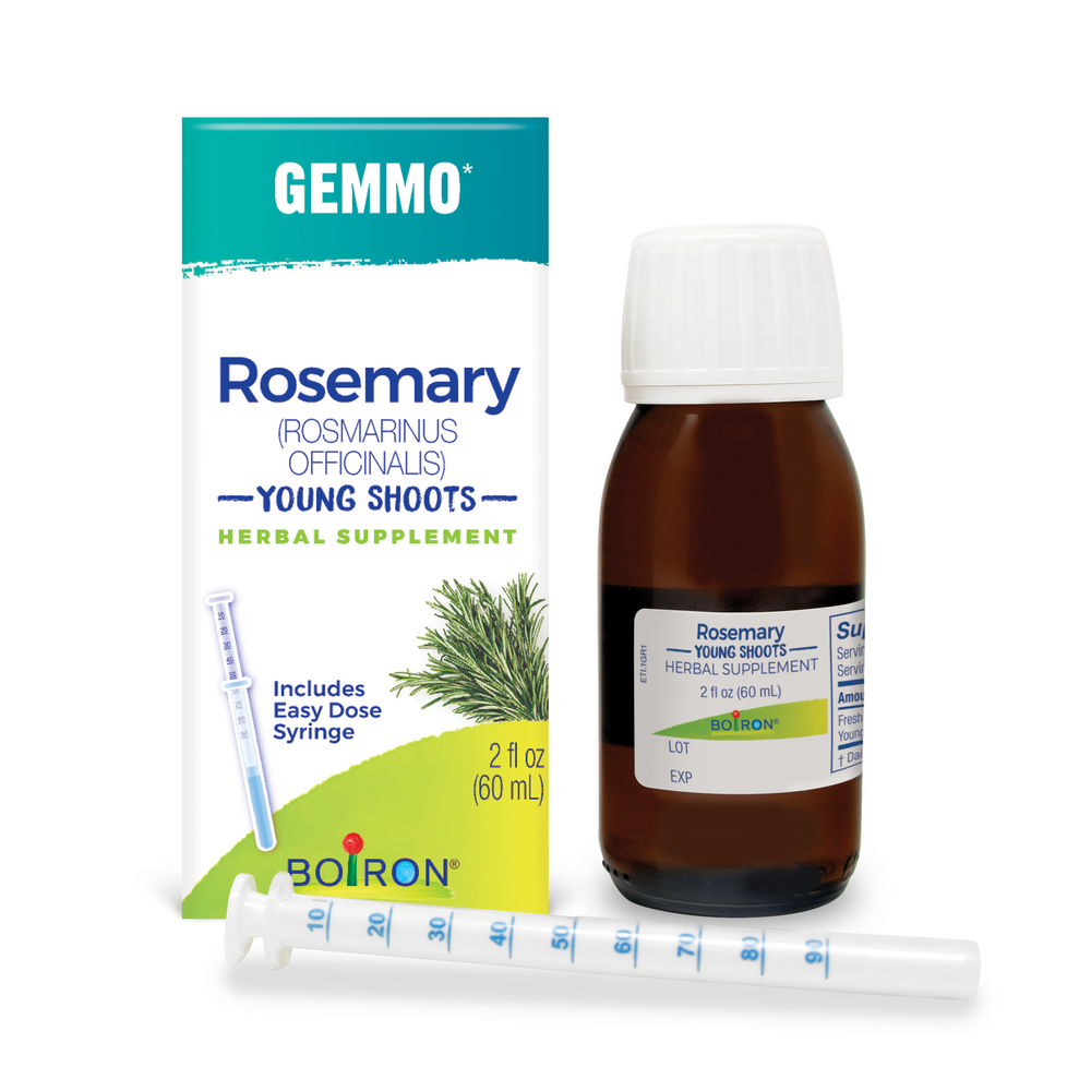 Rosemary/Rosmarinus Officinalis