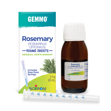 Rosemary/Rosmarinus Officinalis