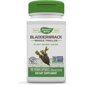 Bladderwrack