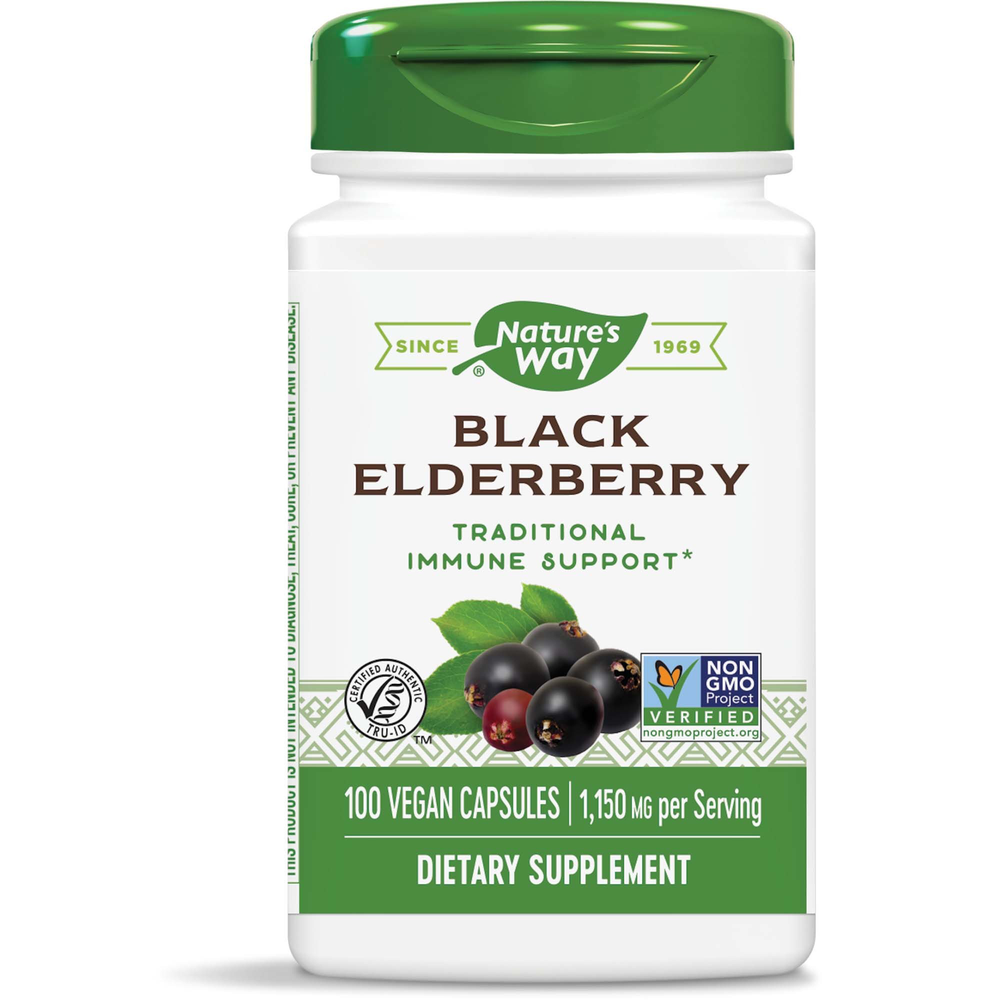 Black Elderberry