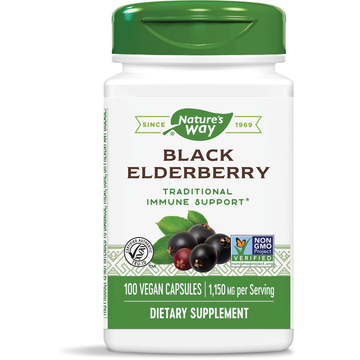Black Elderberry