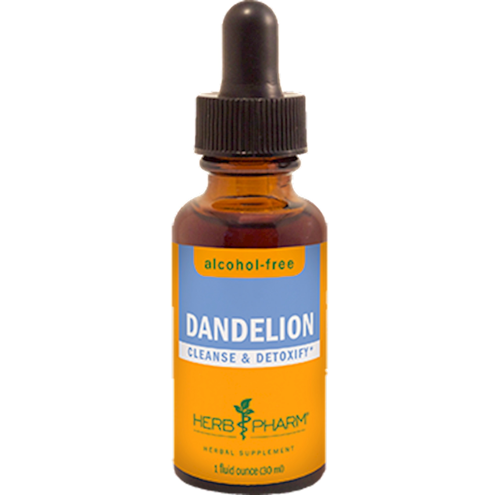 Dandelion Glycerite