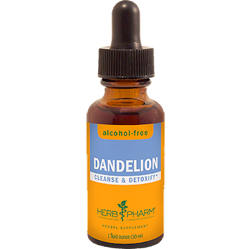 Dandelion Glycerite