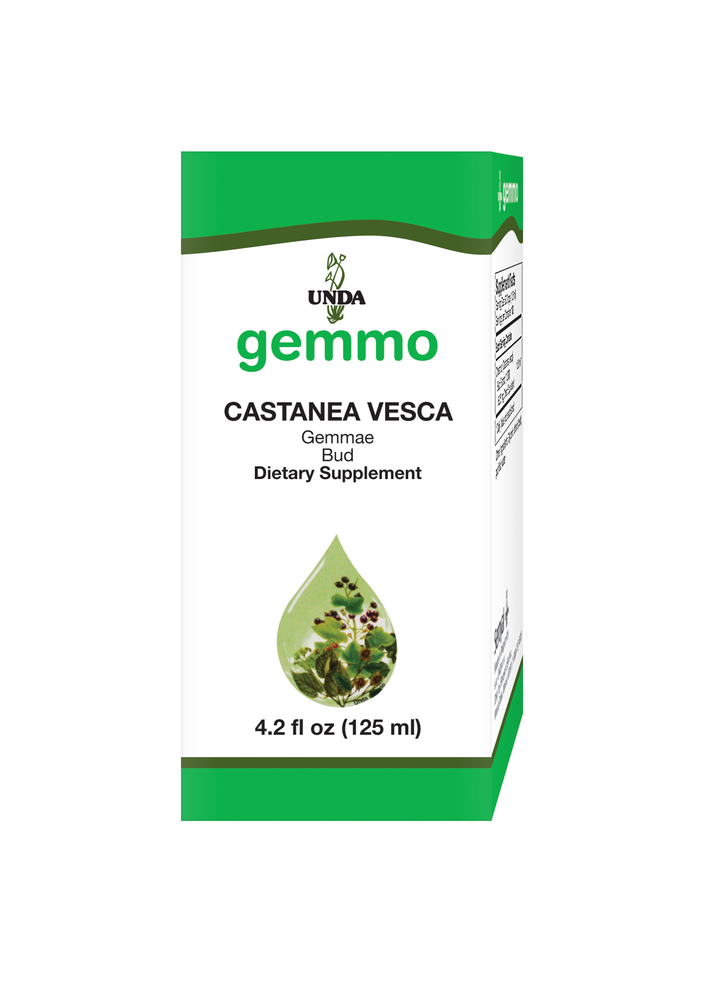 Castanea Vesca
