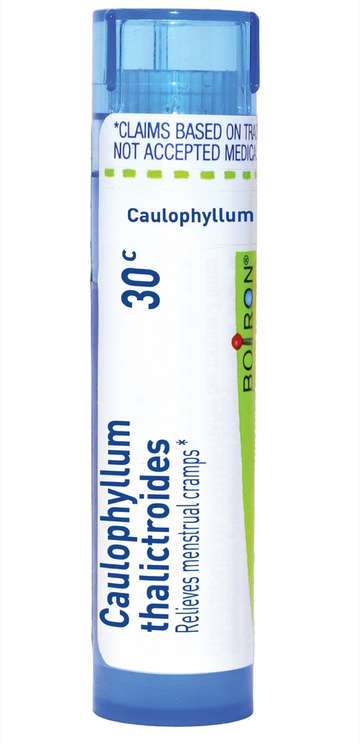Caulophyllum Thalictroides