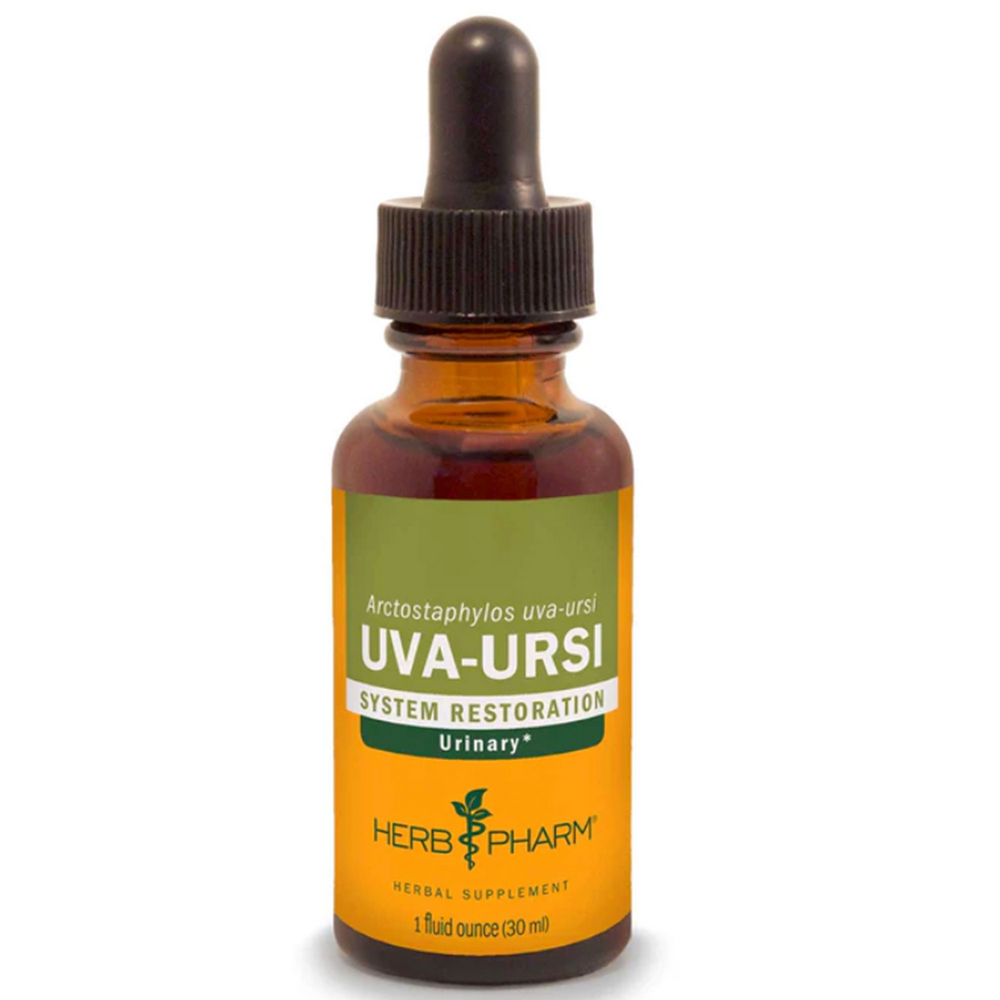 Uva-Ursi