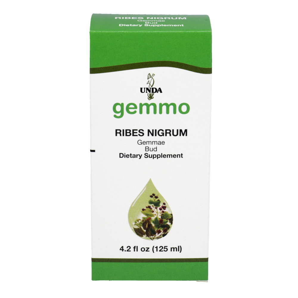 Ribes nigrum