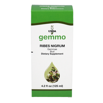 Ribes nigrum