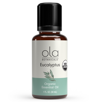 Organic Eucalyptus Essential Oil