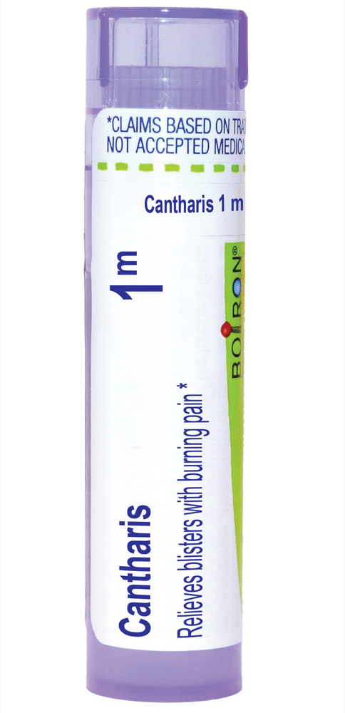 Cantharis 1m