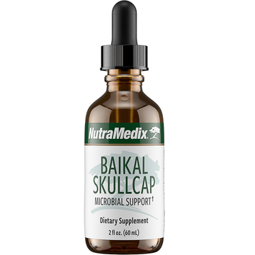 Baikal Skullcap