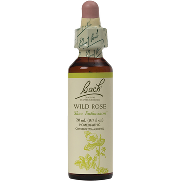 Wild Rose