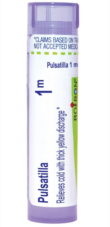 Pulsatilla 1m