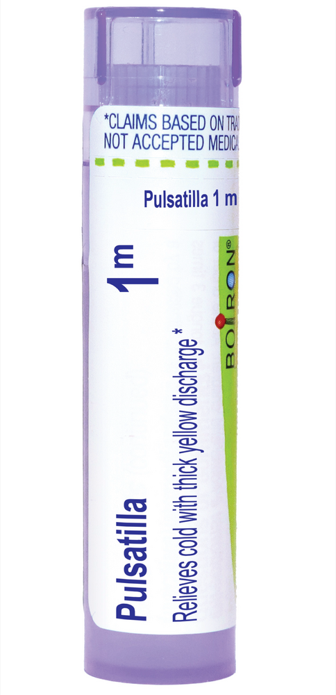 Pulsatilla 1m