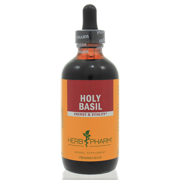 Holy Basil