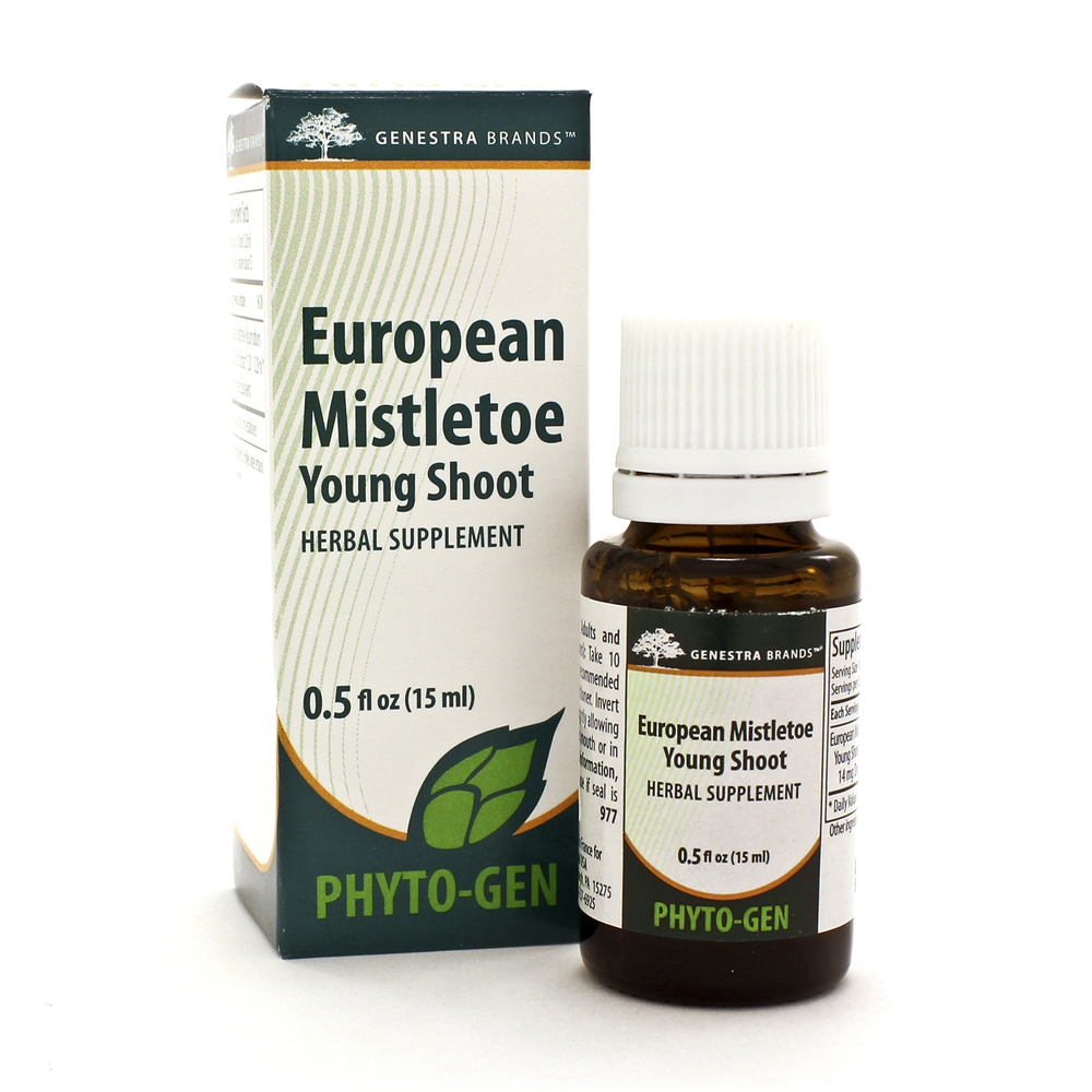 European Mistletoe Young Shoot