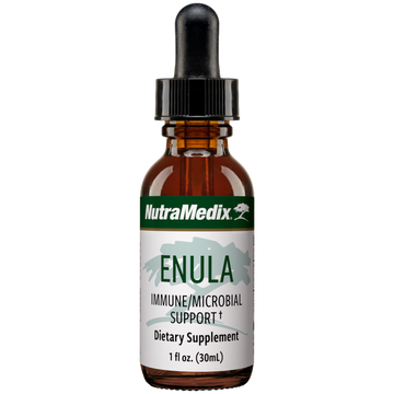 Enula