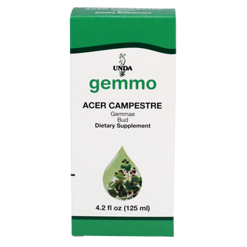 Acer campestre