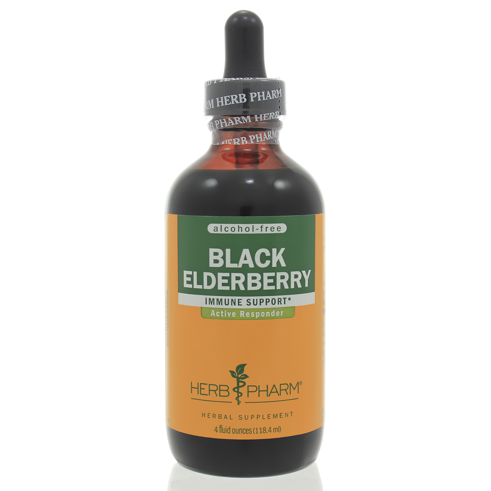 Black Elderberry Glycerite