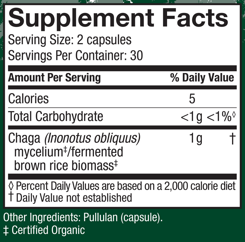 Chaga (Inonotus obliquus)