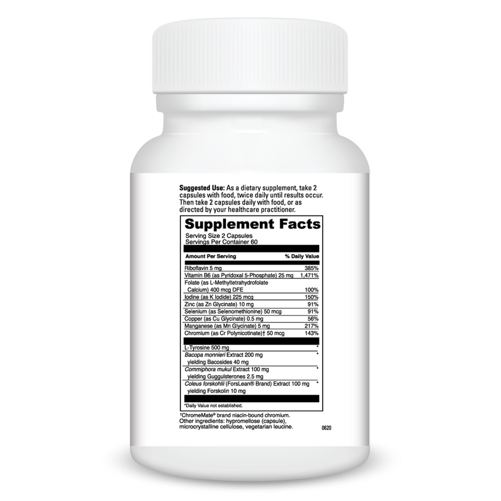 Thyroid Basics