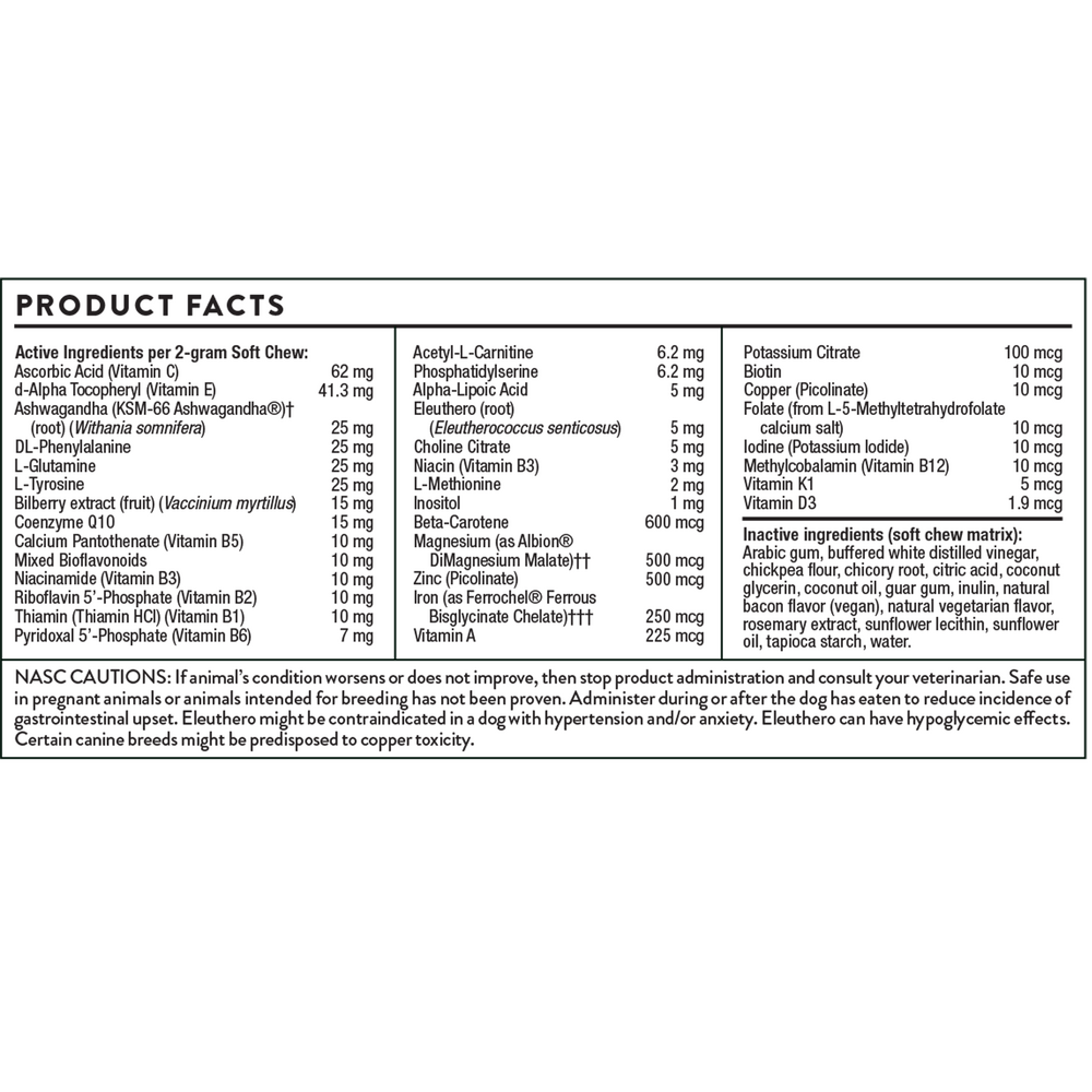Canine Geriatric Basics