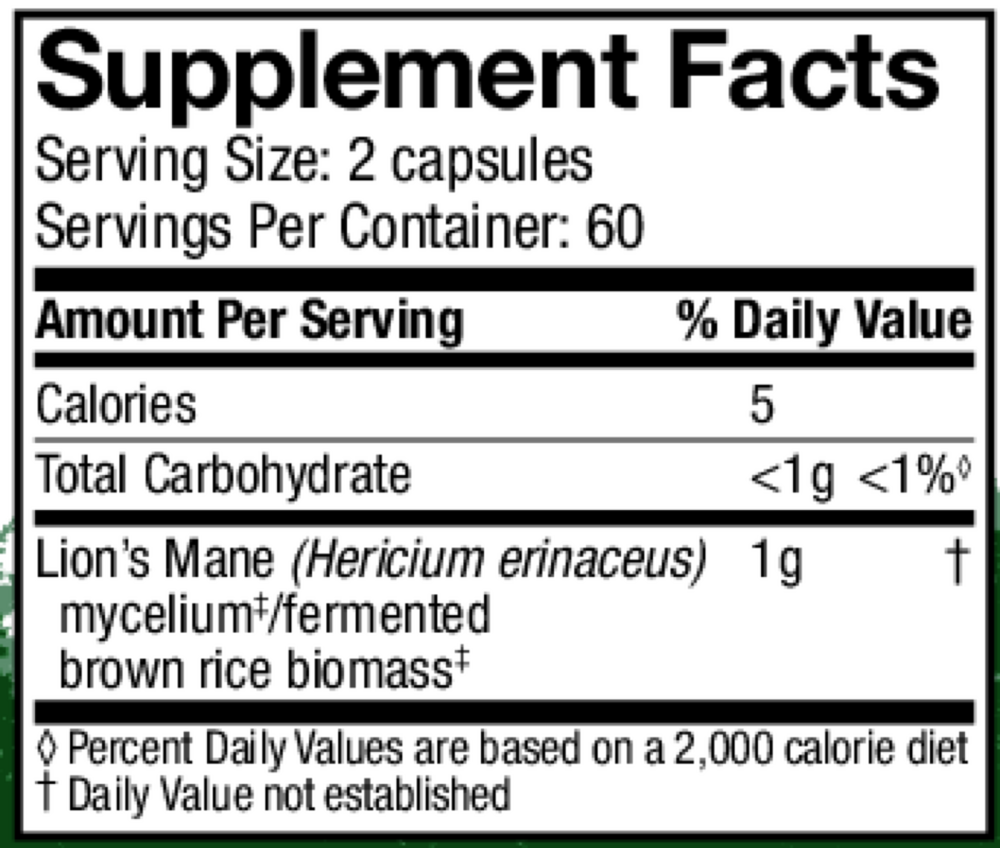 Lions Mane (Hericium erinaceus)