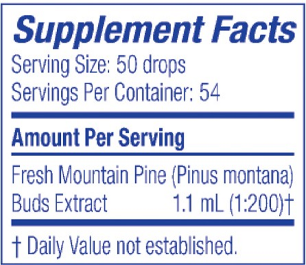 Mountain Pine/Pinus Montana