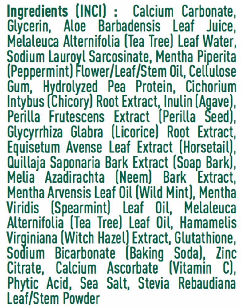 Prebiotic Plant Based Toothpaste-Mint