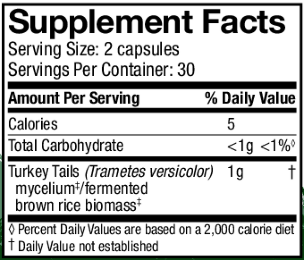 Turkey Tail Capsules