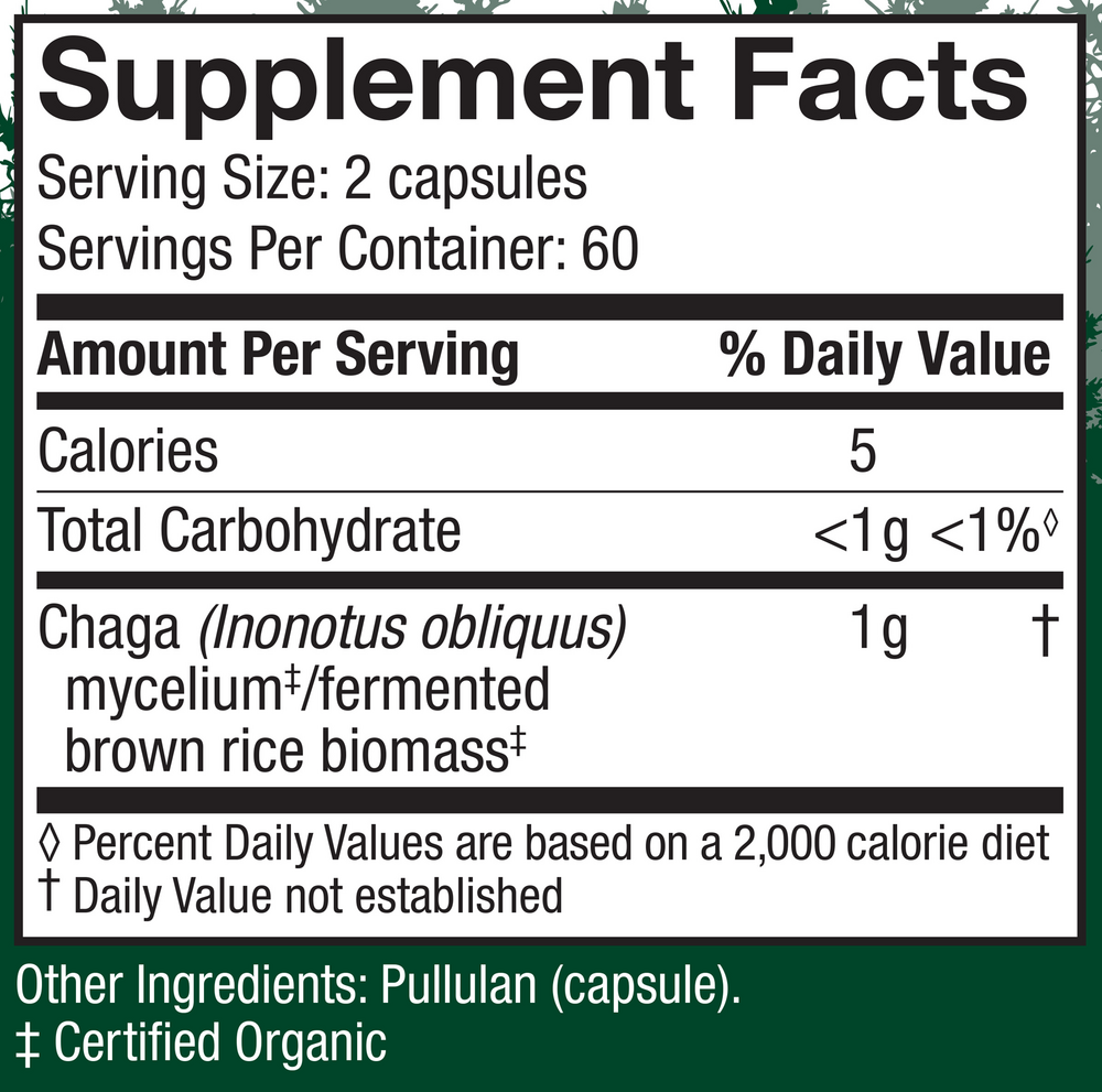 Chaga (Inonotus obliquus)