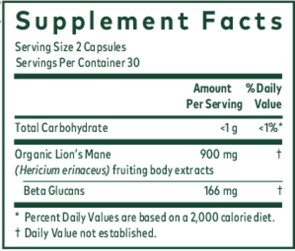 Lion's Mane Mushroom