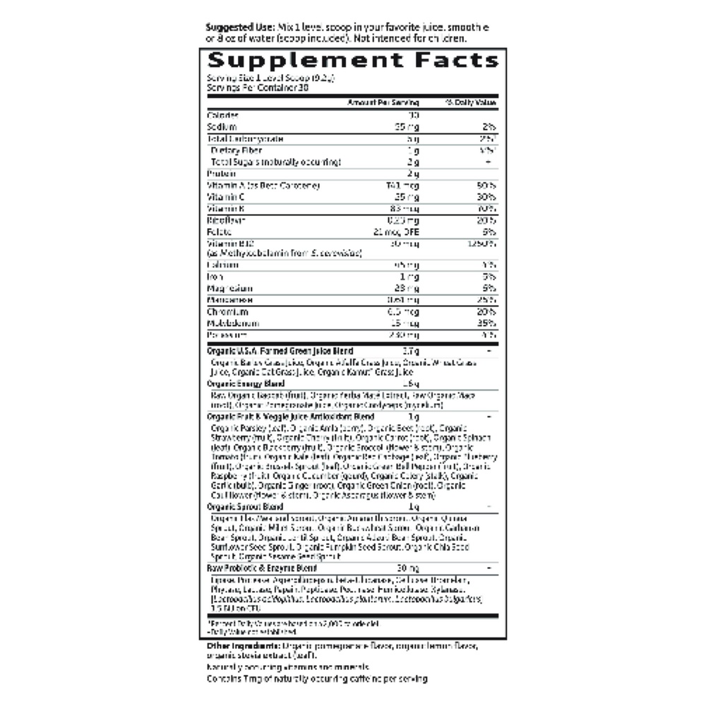 Perfect Food Raw-Energizer Raw Organic Green Super Food