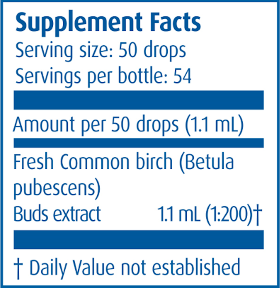 Common Birch/Betula Pubescens
